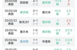 1xBit体育投注-包含西悉尼流浪者体能训练升级，备战河床半决赛的词条