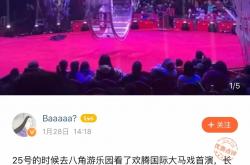 1xBit体育平台-欢腾之夜：足球比赛一队加油，掀起高潮的简单介绍