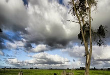 1xBit体育馆-关于意大利女足夺得胜利意大利球队取得胜利，喜获胜利！的信息